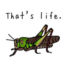 J Insects sticker #14853688
