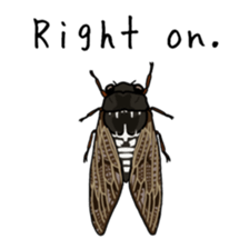 J Insects sticker #14853692