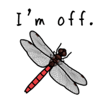 J Insects sticker #14853695