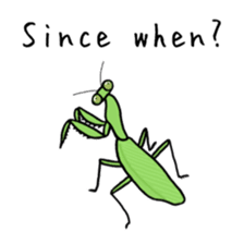 J Insects sticker #14853700