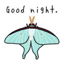 J Insects sticker #14853703