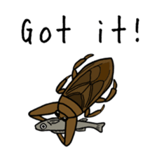 J Insects sticker #14853706