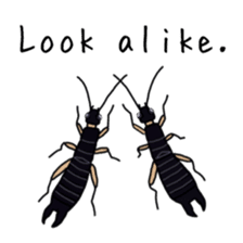 J Insects sticker #14853710