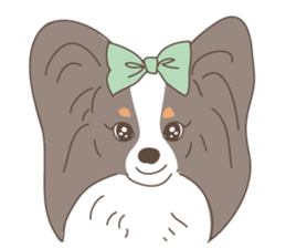 Pretty lovely Papillons!! sticker #14856510