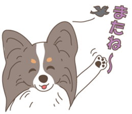 Pretty lovely Papillons!! sticker #14856520