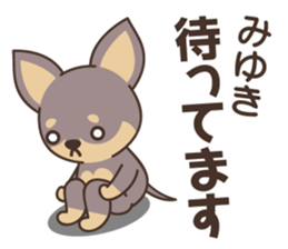 Miyuki Dog sticker #14857532