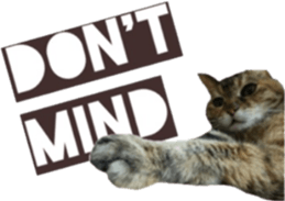 cat of cure balloon version sticker #14857719