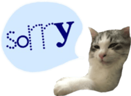 cat of cure balloon version sticker #14857721