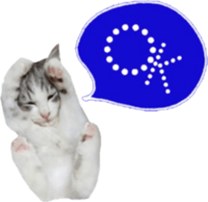 cat of cure balloon version sticker #14857725