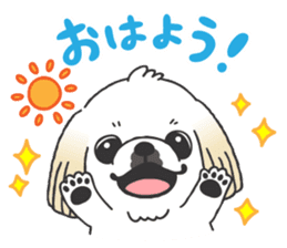 White pekingese dog, PEKITA sticker #14858246