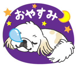 White pekingese dog, PEKITA sticker #14858247
