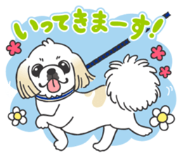 White pekingese dog, PEKITA sticker #14858248