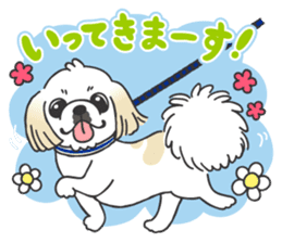White pekingese dog, PEKITA sticker #14858248