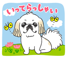 White pekingese dog, PEKITA sticker #14858249