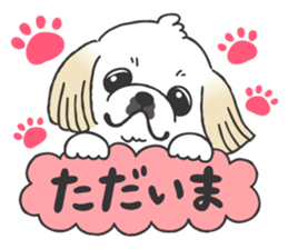 White pekingese dog, PEKITA sticker #14858251
