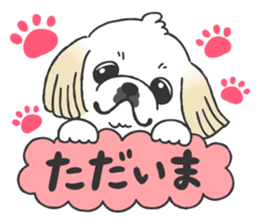 White pekingese dog, PEKITA sticker #14858251