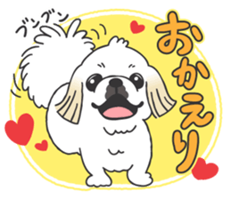 White pekingese dog, PEKITA sticker #14858252