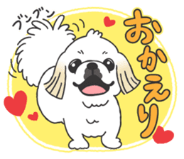 White pekingese dog, PEKITA sticker #14858252