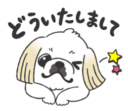 White pekingese dog, PEKITA sticker #14858257