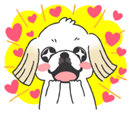 White pekingese dog, PEKITA sticker #14858258