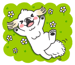 White pekingese dog, PEKITA sticker #14858259