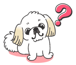 White pekingese dog, PEKITA sticker #14858263