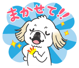 White pekingese dog, PEKITA sticker #14858265