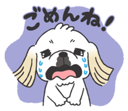 White pekingese dog, PEKITA sticker #14858266