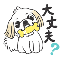 White pekingese dog, PEKITA sticker #14858267