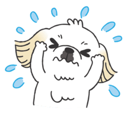 White pekingese dog, PEKITA sticker #14858268