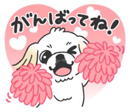 White pekingese dog, PEKITA sticker #14858269