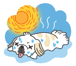 White pekingese dog, PEKITA sticker #14858270