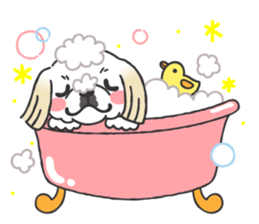 White pekingese dog, PEKITA sticker #14858271