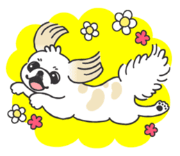 White pekingese dog, PEKITA sticker #14858273