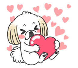 White pekingese dog, PEKITA sticker #14858274