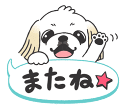 White pekingese dog, PEKITA sticker #14858275