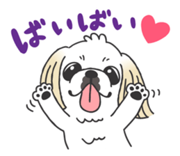 White pekingese dog, PEKITA sticker #14858277