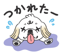 White pekingese dog, PEKITA sticker #14858278