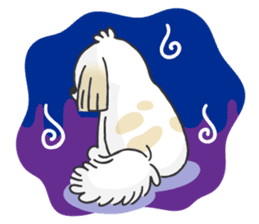 White pekingese dog, PEKITA sticker #14858279