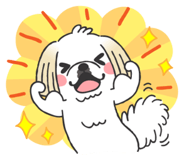 White pekingese dog, PEKITA sticker #14858281