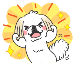 White pekingese dog, PEKITA sticker #14858281