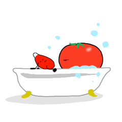 Daily life in Tomakawa and Ketchuplin