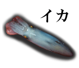 edible fish sticker #14859027