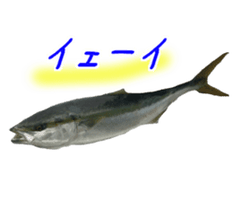 edible fish sticker #14859031