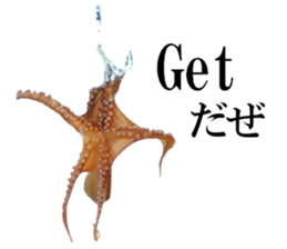 edible fish sticker #14859032