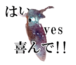 edible fish sticker #14859038