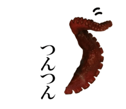 edible fish sticker #14859039