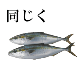edible fish sticker #14859041