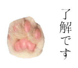 cat of cure Honorific expressions sticker #14860248