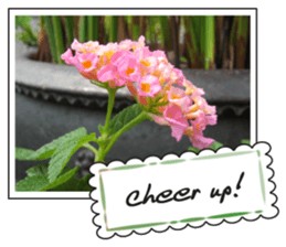 Greetings card with flowers photo2 sticker #14862278